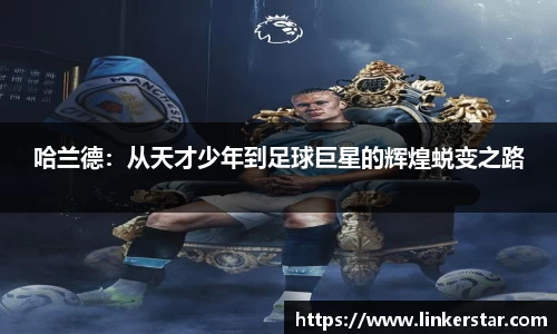 mk体育